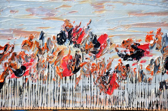 Wild Poppies