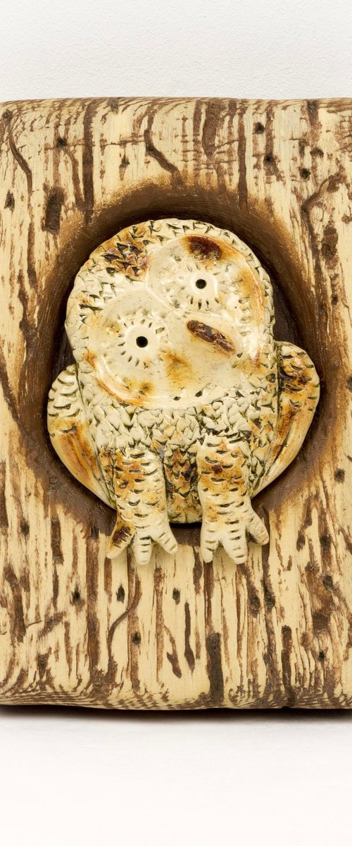 Owl by Oleksandr Korol