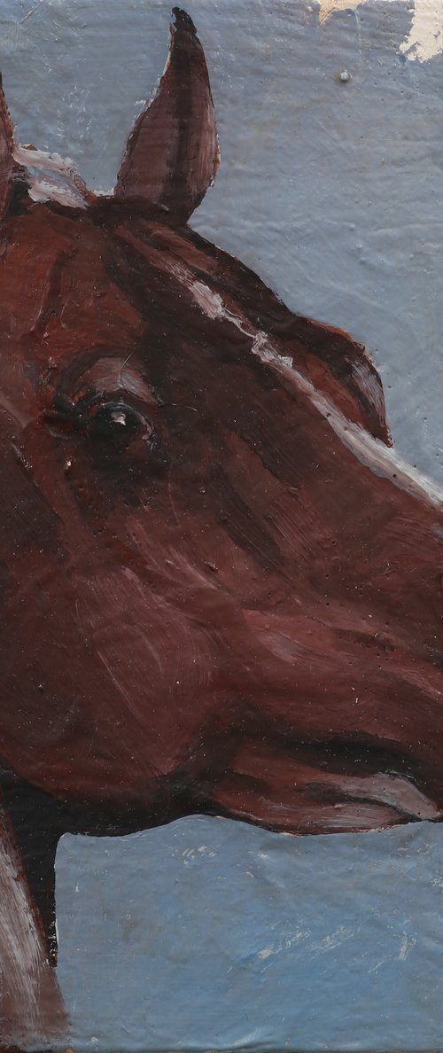 Equine Head Arab Chestnut (study 90) by Zil Hoque