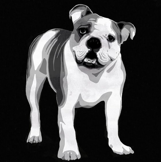 BULLDOG - MODERN WALL ART