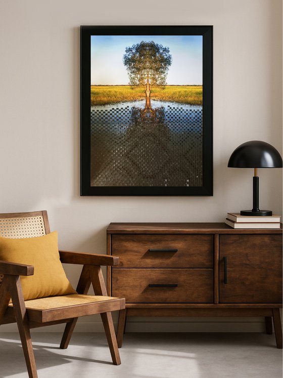 Woven family tree still waters