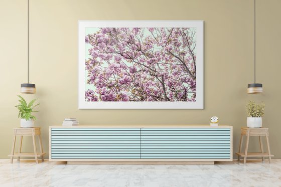 Blossom IV