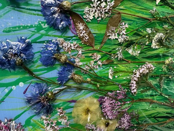 Wild Blooms