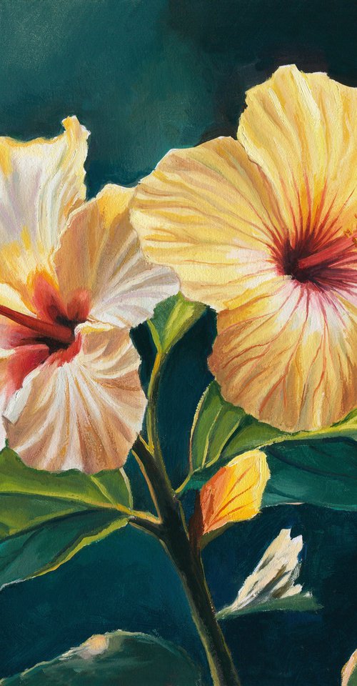 Two yellow hibiscus flowers by Lucia Verdejo
