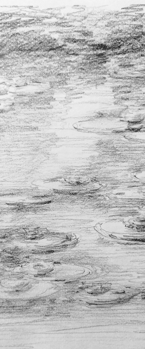 Water lilies. Sketch #2. Original pencil drawing. by Yury Klyan