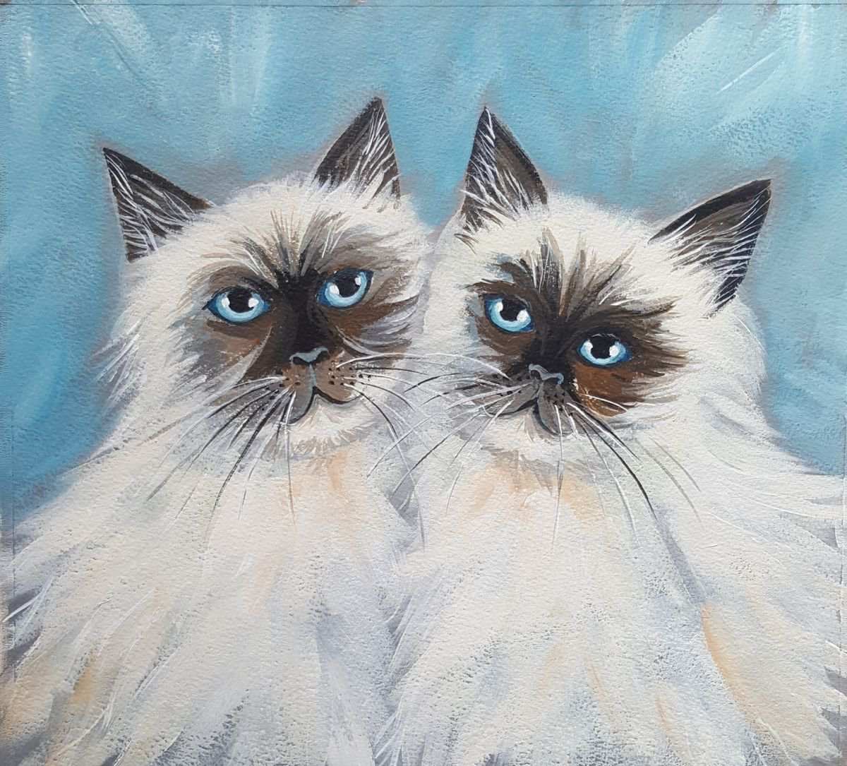 Illustrative Acrylic Painting , Himalayan Cats By Mary Stubberfield, 12 X 11, Artwork For Sale On Artfinder