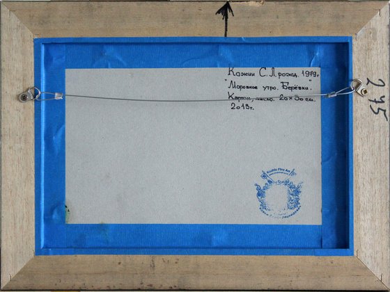 March morning. Birch trees