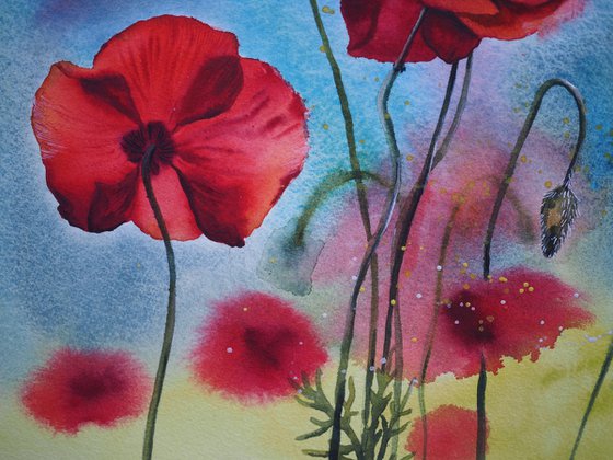 Expressive poppies