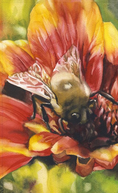 bee in the blanket by Alfred  Ng