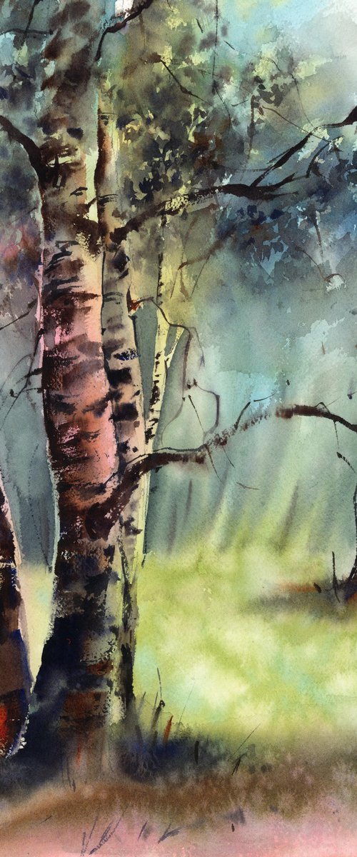 Birch Trees Summer Landscape by Sophie Rodionov