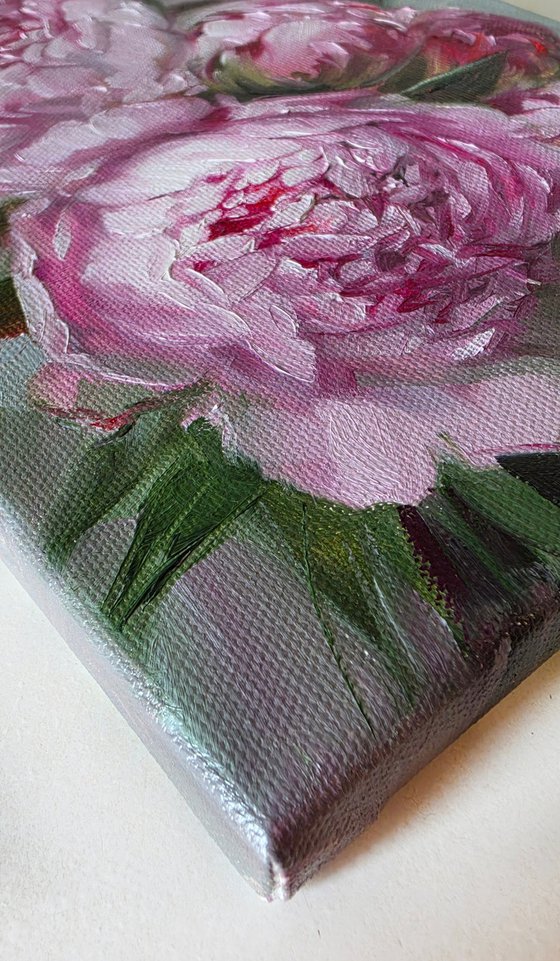 Whispers Peonies