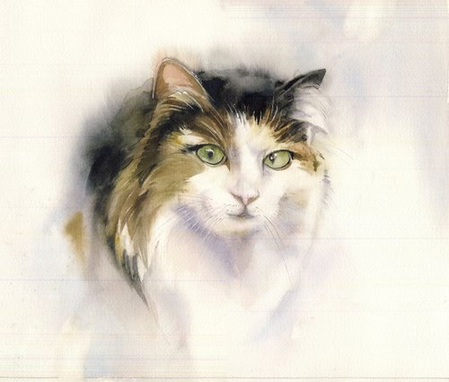 a painting a day #43 "cat watercolor' by Alfred  Ng