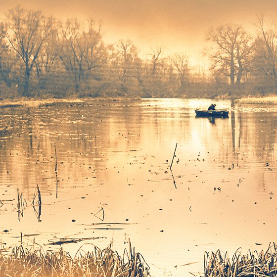 Golden twilight.