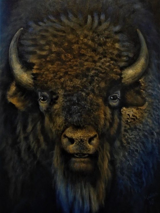 Portrait of a North American Bison