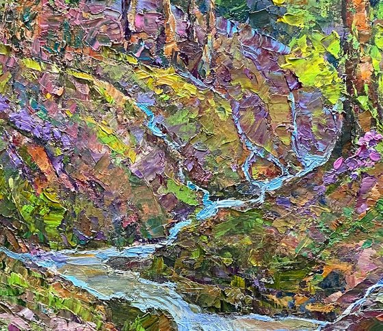 Springs of a mountain stream