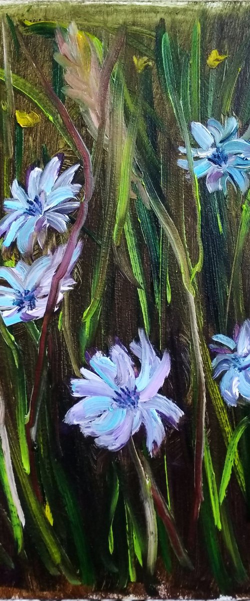 Cornflowers at the meadow. Pleinair painting by Dmitry Fedorov