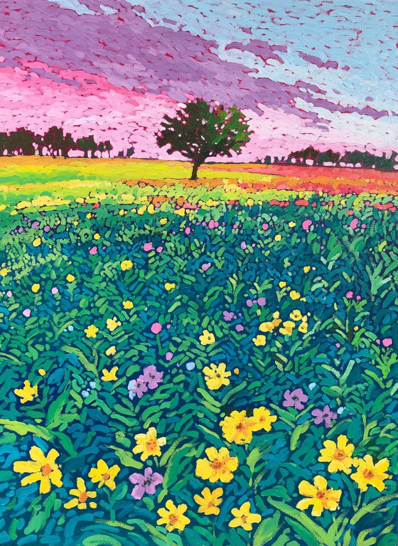 Blooming fields