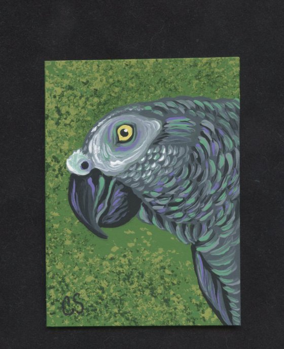 ACEO ATC Original Painting African Grey Parrot Bird Pet Art-Carla Smale