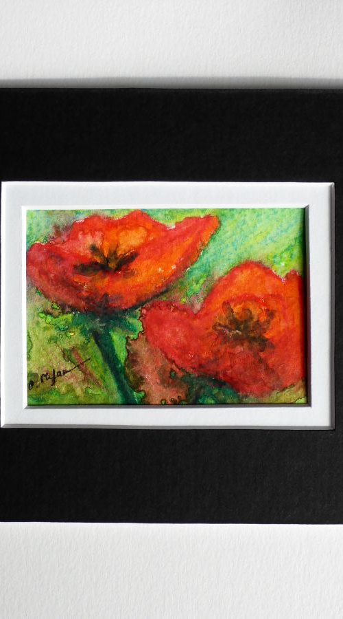 Poppies (ACEO with Mat) by Cristina Stefan