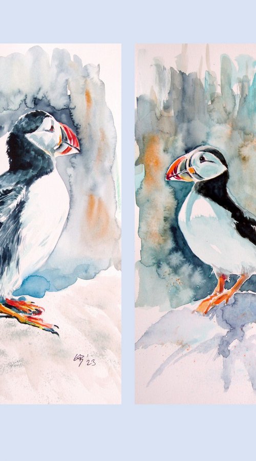 Puffin collection by Kovács Anna Brigitta