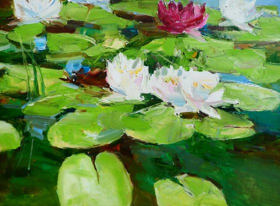 "Water Lilies  "