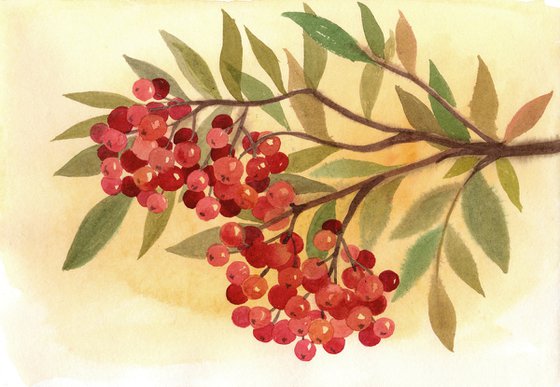 Rowanberry