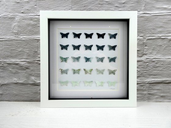 25 Grey butterflies