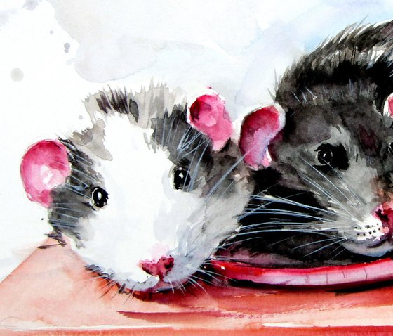 Rats