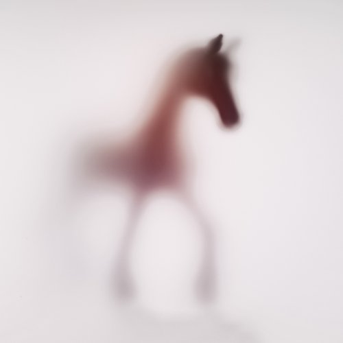 WILD LENS - HORSE XVII by Sven Pfrommer