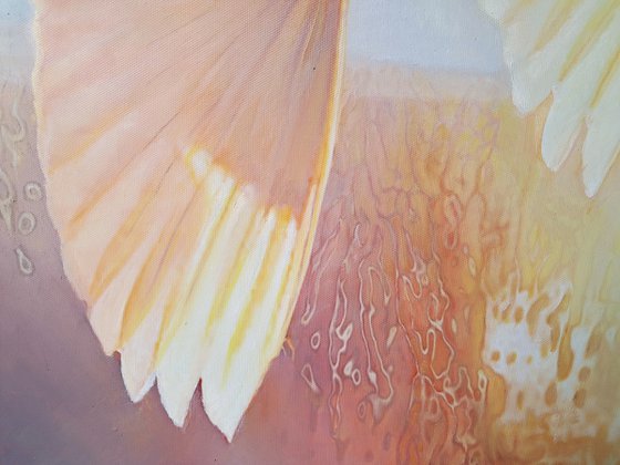 FLY INTO THE SUNRISE