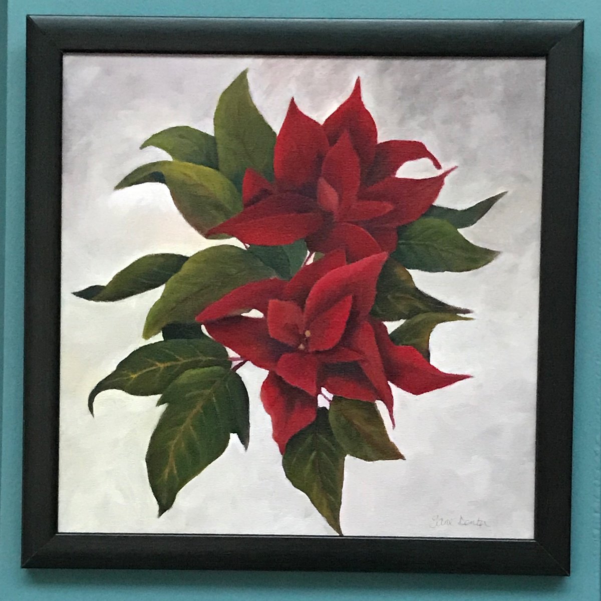 Botanical Oil Painting By Jane Denton, 14 X 14, Poinsettia - Framed, Original Artwork