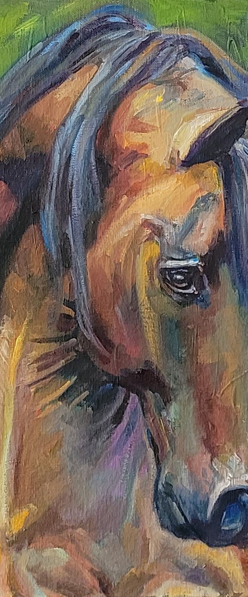 Amber, Expressive Horse Original Oil Painting, Contemporary by QI Debrah
