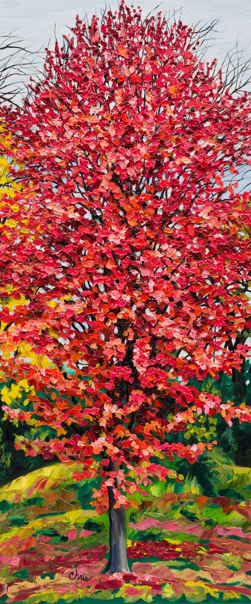 Tall Maple in Pink & Salmon by Christina M Plichta