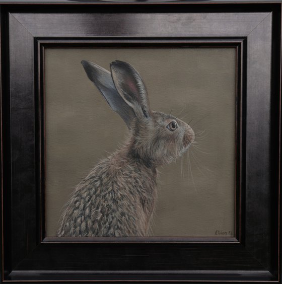 Portrait of a Hare II