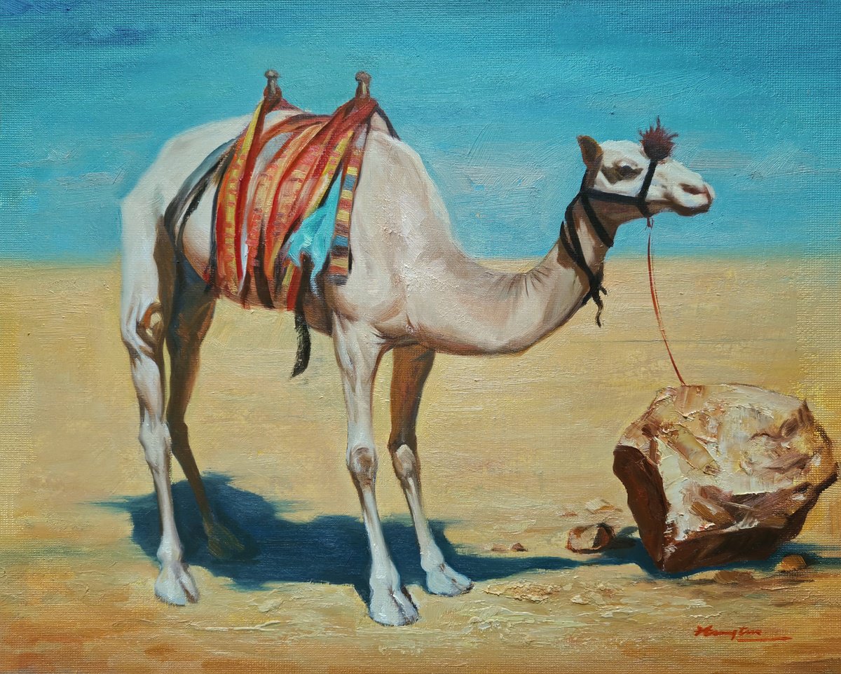 Camel by Hongtao Huang