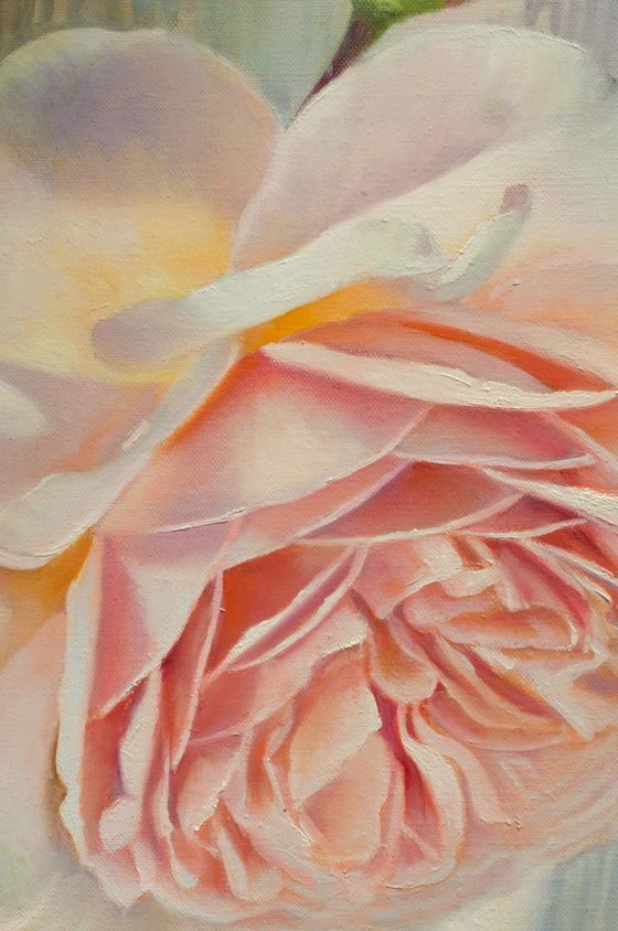 "Country Rose"  white pink macro rose flower  liGHt original painting  GIFT (2018)