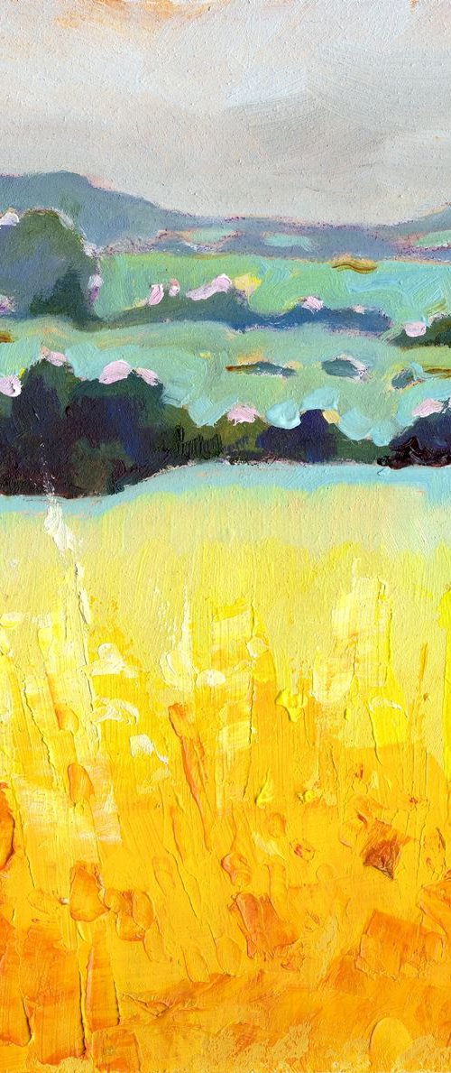 Mustard Yellow Fields at Oundle by Mary Kemp