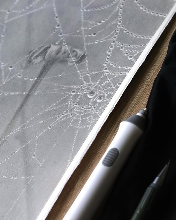Spiderweb: Crystal Lace