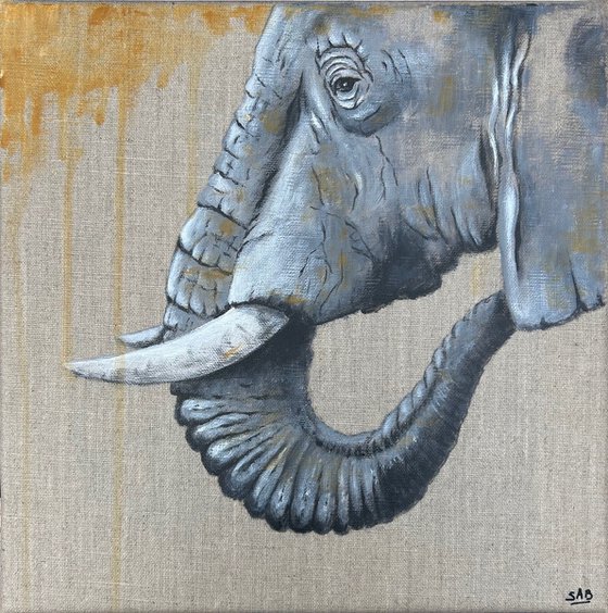 Elephant Grey #2