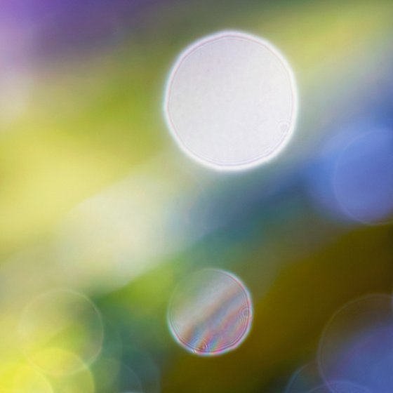 Shine - Studio Edition