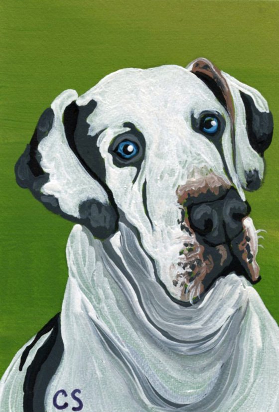 ACEO ATC Original Miniature Painting Great Dane Pet Dog Art-Carla Smale