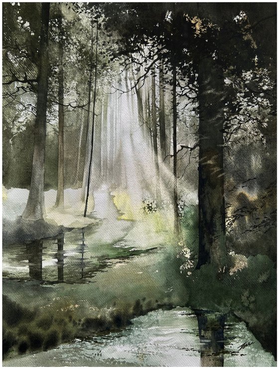 Rays among the trees
