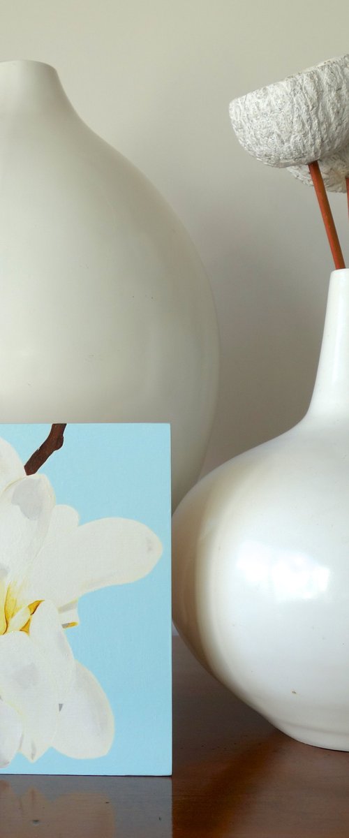 Star Magnolia by Susan Porter