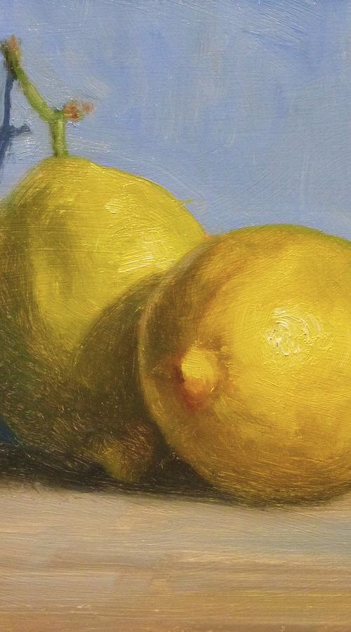 2 Lemons by Pascal Giroud