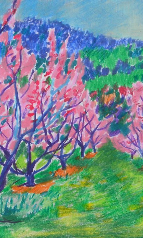 Peach orchard in bloom by Maja Grecic