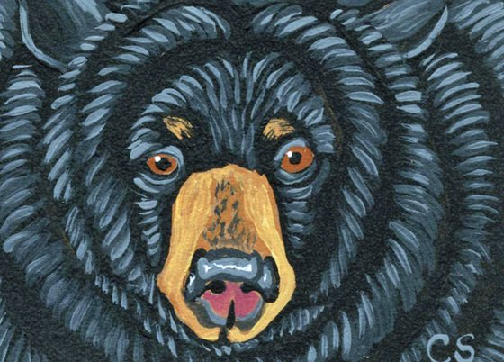 ACEO ATC Original Miniature Painting Black Bear Wildlife Art-Carla Smale