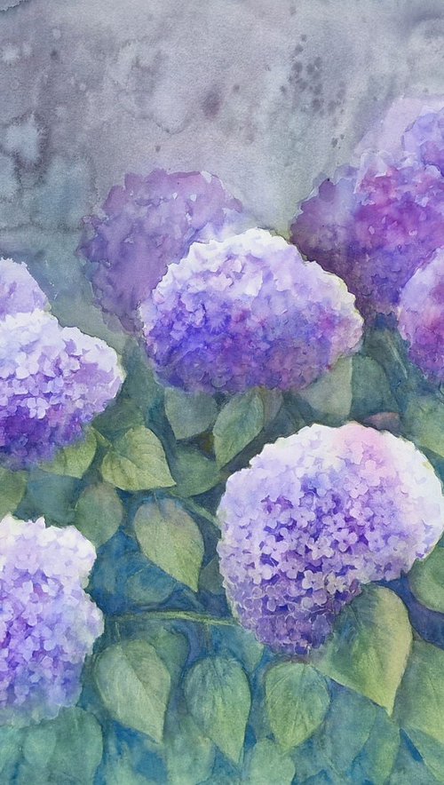 HYDRANGEAS ON A DRIZZLY DAY 2023.019 watercolour XXL size by Beata van Wijngaarden