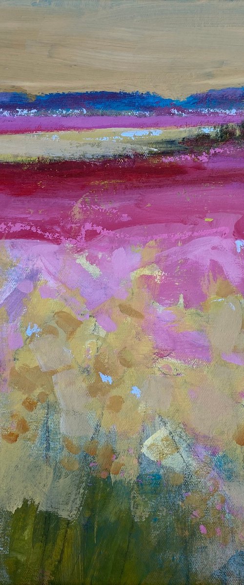 Evening Pink by Chrissie Havers