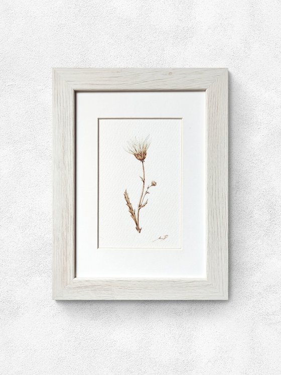 "Daisy"