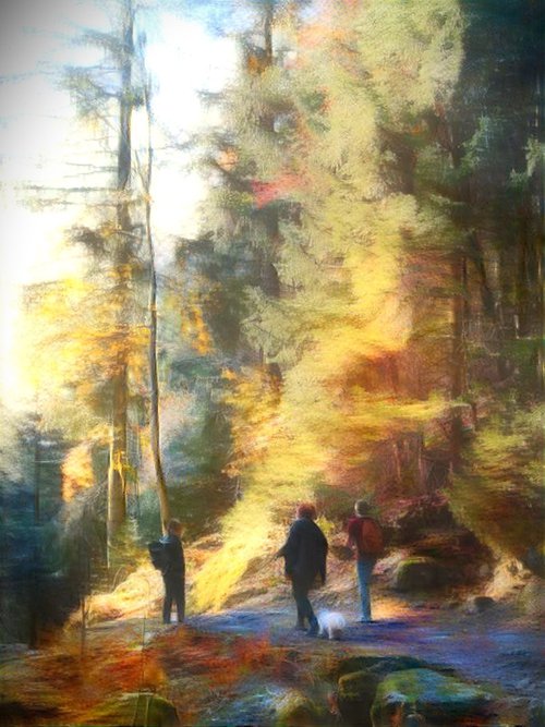 Promenade en forêt N1 by Danielle ARNAL